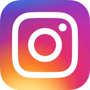 Instagram Profiles integration
