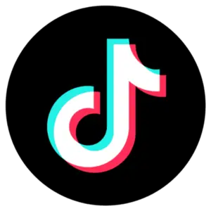 TikTok Pages integration